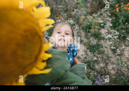 Ragazza di raggiungere per un girasole in un campo Foto Stock