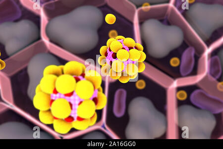 Alta qualità 3D render di cellule di grasso, colesterolo nelle cellule, campo di celle, la struttura della molecola, recettori presenti sulla superficie di cellule Foto Stock