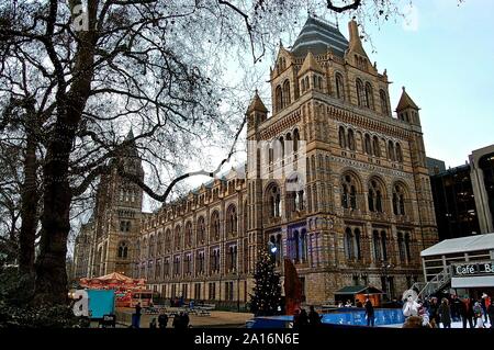 London Natural History Museum 241210 Foto Stock