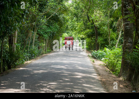 Il paesaggio della zona rurale Street, Bangladesh Foto Stock