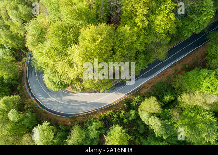 Antenna vista superiore della curva della strada nella foresta Foto Stock