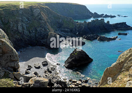 Atlantic grigio guarnizioni baby & madri Halichoerus grypus a Renny Slip vicino Martins Haven St Brides Bay in Pembrokeshire Wales UK KATHY DEWITT Foto Stock