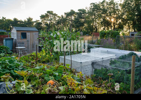 Assegnazioni nel villaggio Costwold di Bourton sull'acqua, Cotswolds, Gloucestershire, Inghilterra Foto Stock