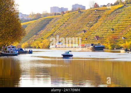 Stoccarda, Fiume Neckar in collezione autunno, Germania Foto Stock