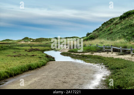 Percorso di dune che conduce alla spiaggia di Fisher, Truro, Cape Cod, Massachusetts, STATI UNITI D'AMERICA Foto Stock