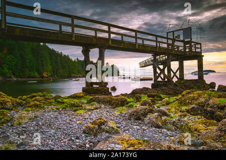 Spiaggia rocciosa e tramonti lungo il Pacifico Nord Ovest dell isola di Bowen in Howe Sound con spettacolari vedute del faro tutti appena al largo della costa di Vancouver BC Foto Stock