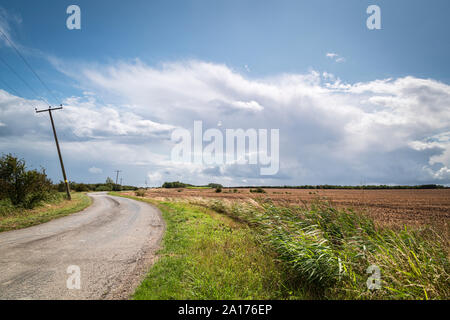 Una strada con inclinazione pali del telegrafo avvolgimento attraverso l'isola di Sheppy campagna verso traghetto Harty, Kent, Inghilterra. 19 agosto 2019 Foto Stock