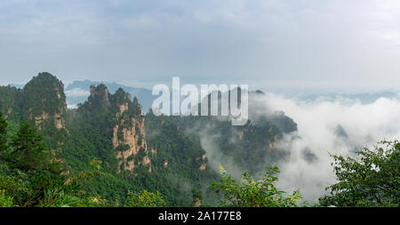 Colonne in pietra di Montagne Tianzi in Zhangjiajie National Park che è una famosa attrazione turistica, Wulingyuan, nella provincia del Hunan, Cina Foto Stock