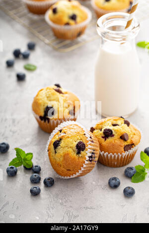 Chocolate Chip e muffin ai mirtilli con latte Foto Stock