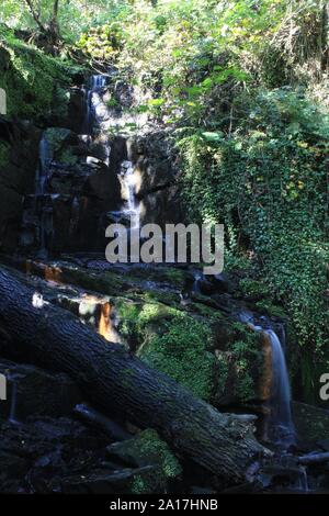 Follia Dolly Falls, Meltham nel West Yorkshire Foto Stock