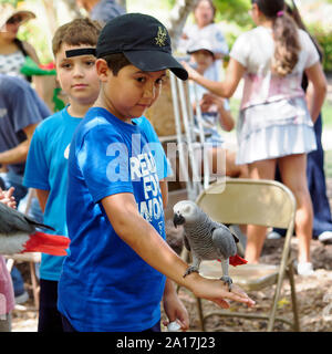 Pappagallo grigio africano sul ragazzo del braccio presso il settimanale "Parrot Talk' presentazione. South Texas Botanical Gardens & Centro Natura nel Corpus Christi, Texas USA. Foto Stock