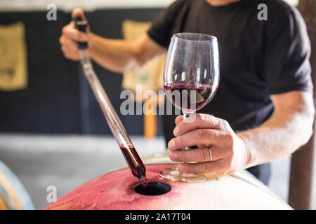 Gli estratti di sommelier vino da una botte utilizzando una pipetta Foto Stock