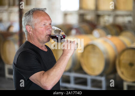 Enologo (sommelier) campionamento il suo prodotto in un magazzino di vino. Foto Stock