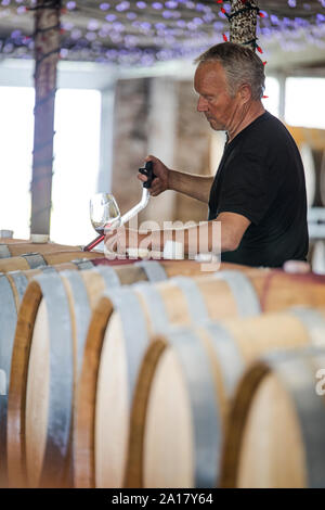 Gli estratti di sommelier vino da una botte utilizzando una pipetta Foto Stock