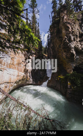 Cascata inferiore del Canyon Johnston sentiero escursionistico in Alberta, Canada. Foto Stock