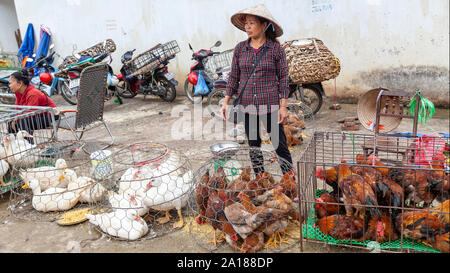 La vendita di polli e anatre al mercato domenicale di Bac ha abitato, in Lao Cai provincia, in zone montuose nordoccidentali del Vietnam. Molte tribù etniche si riuniscono Foto Stock