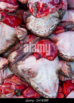 Asia se gli alimenti avventura: Fresco rane con cuore esposto al mercato locale a Pakse, Laos. Non per i deboli di cuore o Kermit e gli amici. Foto Stock