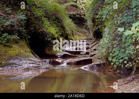 Le marmitte di evorsione Nature Preserve anche noto come Falls Creek Gorge cascata in Indiana Foto Stock