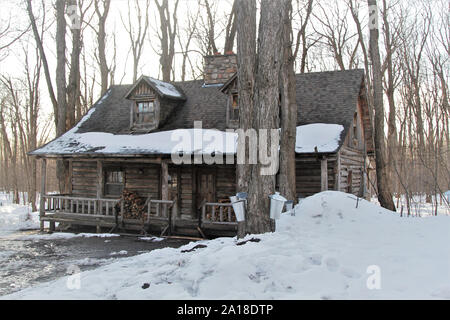 Heritage cottage con secchi su alberi di acero per raccogliere sap per lo sciroppo d'acero Foto Stock