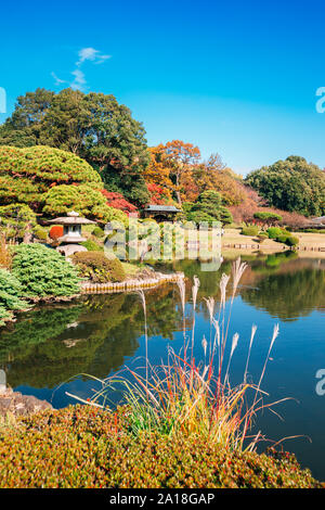 Shinjuku Gyoen park in autunno a Tokyo in Giappone Foto Stock