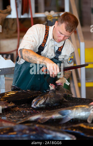 Noi pesci e fauna selvatica servizio dipendente che lavora con salmone a Spring Creek National Fish Hatchery Foto Stock