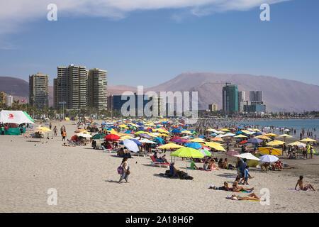 IQUIQUE, Cile - 23 gennaio 2015: persone non identificate godendo l'estate sull'affollata spiaggia Cavancha on gennaio 23, 2015 a Iquique, Cile. Foto Stock