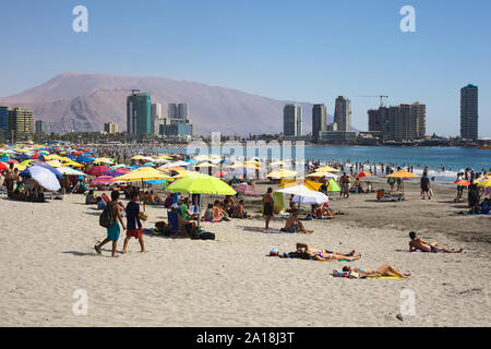 IQUIQUE, Cile - 23 gennaio 2015: persone non identificate godendo l'estate sull'affollata spiaggia Cavancha on gennaio 23, 2015 a Iquique, Cile Foto Stock