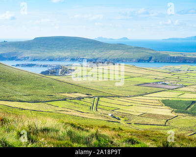 Azienda Agricola Prato patterns vicino le scogliere di Kerry nella Contea di Kerry, Irlanda. Valentia isola si trova in background. Foto Stock