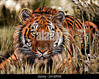Tiger arte illustrazione il colore di disegno pittura Foto Stock