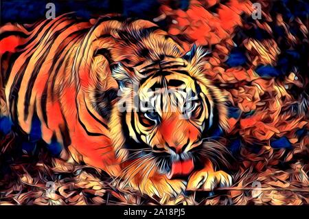 Tiger arte illustrazione il colore di disegno pittura Foto Stock