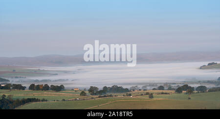 Early Morning mist nel fondovalle vicino Ravenstonedale in alto Lune Valley, inizio autunno. Cumbria, Regno Unito. Foto Stock