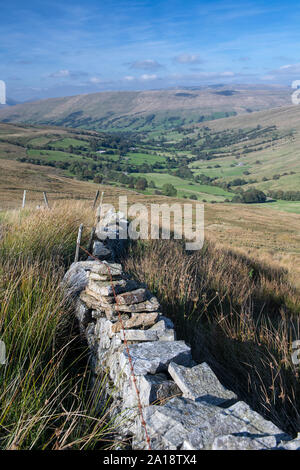 Guardando verso il basso Dent dalla testa di Deepdale, in tarda estate. Cumbria, Regno Unito. Foto Stock