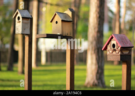 Tree birdhouses in legno nella calda primavera park contro sfondo sfocato Foto Stock