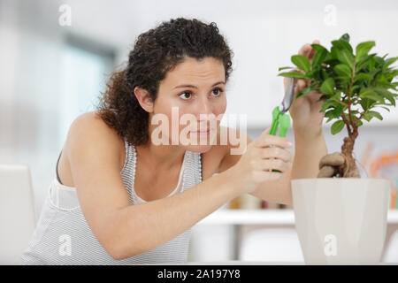 Giovane ed entusiasta giardiniere femmina avendo cura di piante bonsai Foto Stock