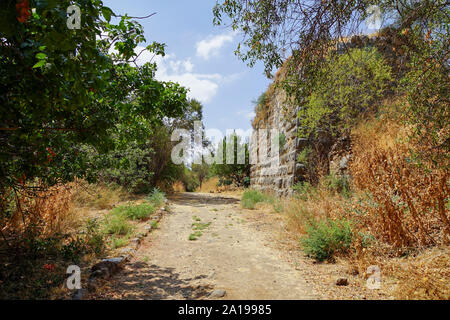 Una moschea deserte all'Hermon Stream riserva naturale (Banias) Golan Israele Foto Stock