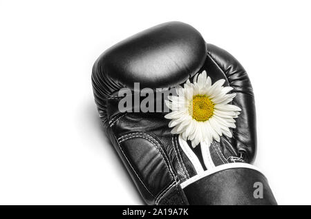 Guanto di boxe con un grande fiore di camomilla closeup Foto Stock