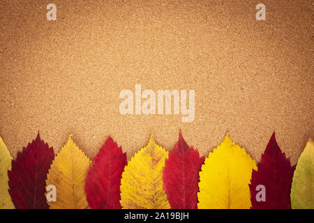 Telaio di autunno con copia spazio su legno marrone dello sfondo. Applique di rosso e giallo caduta foglie. Composizione del fogliame. Parete in cartone. Vista dall'alto. Fla Foto Stock