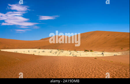 Deadvlei con alberi morti nel deserto del Namib di Namibia Foto Stock