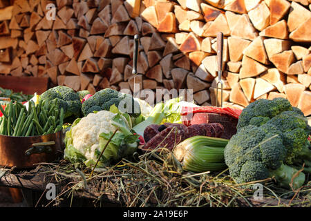 Il cibo è pronto per una celebrazione all'aperto in Switzterland Foto Stock