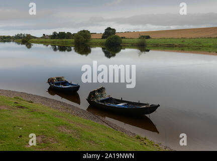 Fiume Tweed tradizionali barche di compensazione a Paxton House sulla frontiera scozzese Foto Stock