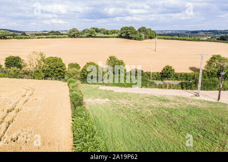 Campi di raccolto Foto Stock