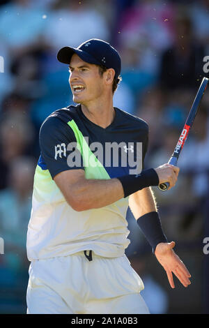 Andy Murray della Gran Bretagna in azione contro Kyle Edmund di Gran Bretagna. La natura internazionale di valle 2018 - Mercoledì, 27 Giugno 2018 - Devonshire Foto Stock