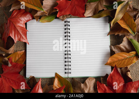 Autunno laici piatto con blocco note Foto Stock