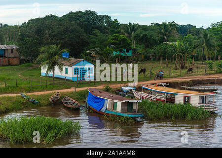 Obersations su una due giorni di viaggio in barca da Manaus a Tefé, Rio Solimoes, Amazonas, l'Amazzonia, Brasile, dell'America Latina Foto Stock