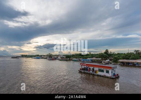 Obersations su una due giorni di viaggio in barca da Manaus a Tefé, Rio Solimoes, Amazonas, l'Amazzonia, Brasile, dell'America Latina Foto Stock