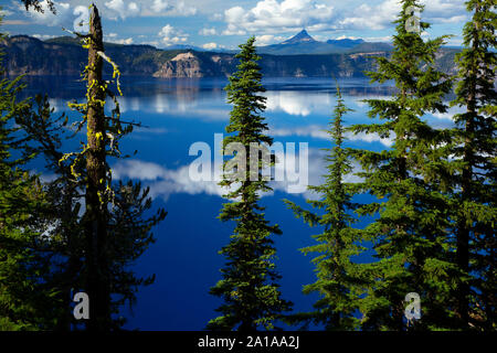 Il cratere del lago vista dalla nave fantasma si affacciano, parco nazionale di Crater Lake, Vulcano nazionale Legacy Scenic Byway, Oregon Foto Stock