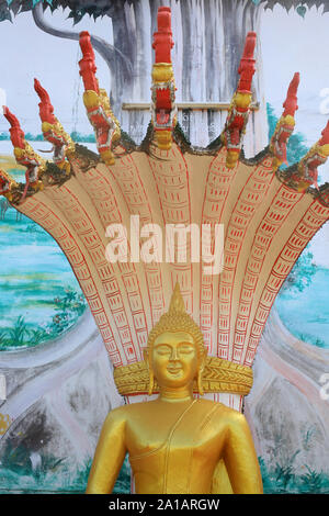 Bouddha Du Samedi. Wat Si Sou Mang Karam. Vang Vieng. Laos. / Buddha sabato. Wat Si Sou Mang Karam Tempio. Vang Vieng. Laos. Foto Stock