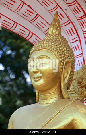 Bouddha Du Samedi. Wat Si Sou Mang Karam. Vang Vieng. Laos. / Buddha sabato. Wat Si Sou Mang Karam Tempio. Vang Vieng. Laos. Foto Stock