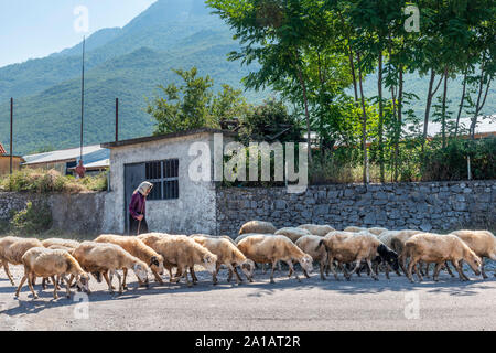 Donna con il suo gregge di pecore nel villaggio di Boge nelle Alpi Albanesi, l'Albania settentrionale. Foto Stock