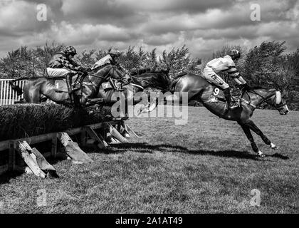 Cavalli da salto recinzione al punto a punto Foto Stock